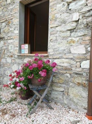 B & B La Primavera Пергола Экстерьер фото