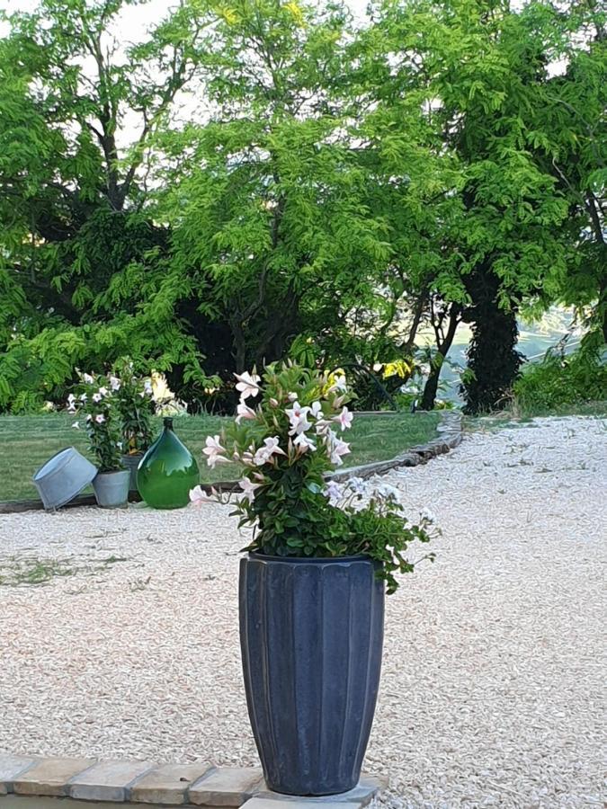 B & B La Primavera Пергола Экстерьер фото