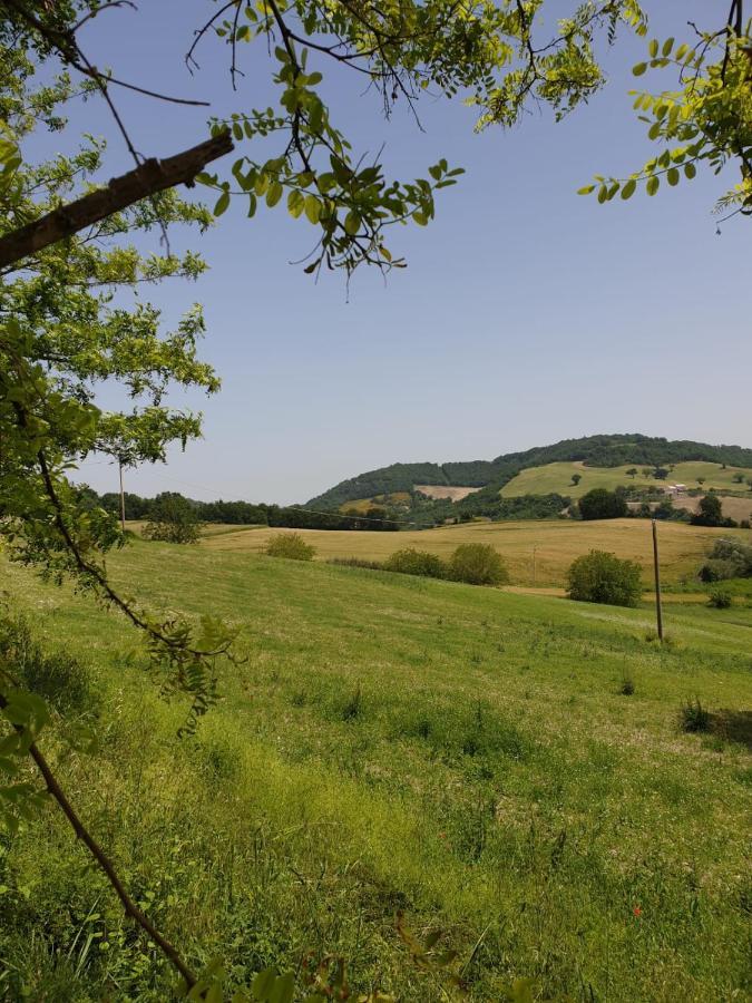 B & B La Primavera Пергола Экстерьер фото