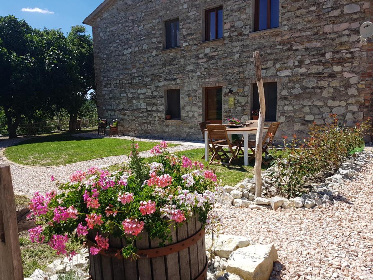 B & B La Primavera Пергола Экстерьер фото
