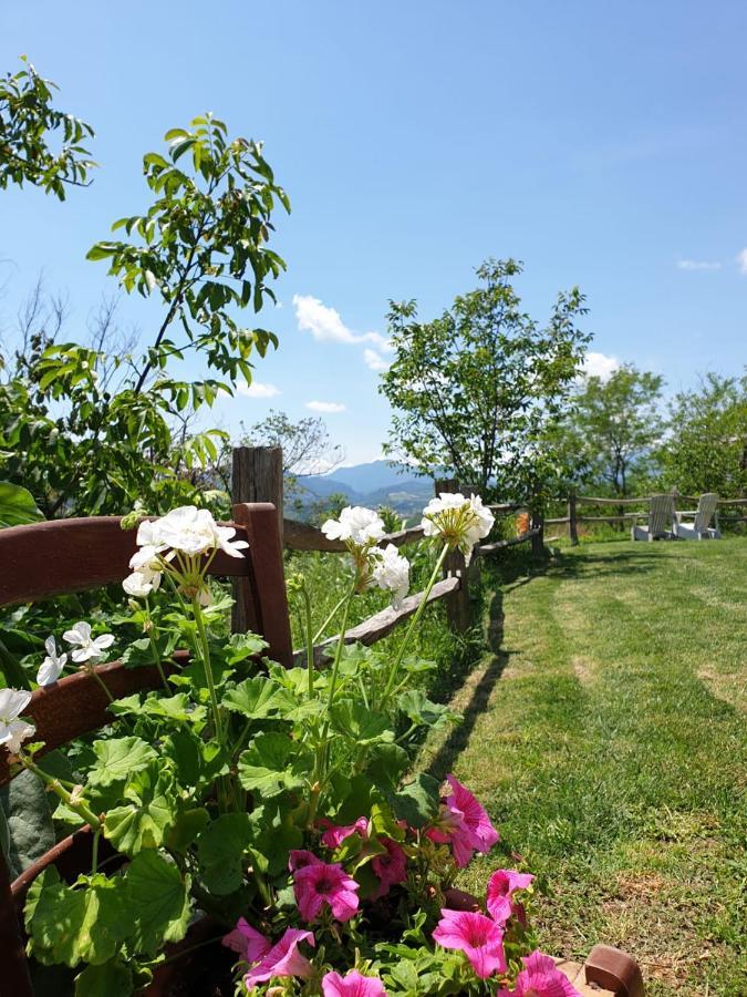 B & B La Primavera Пергола Экстерьер фото